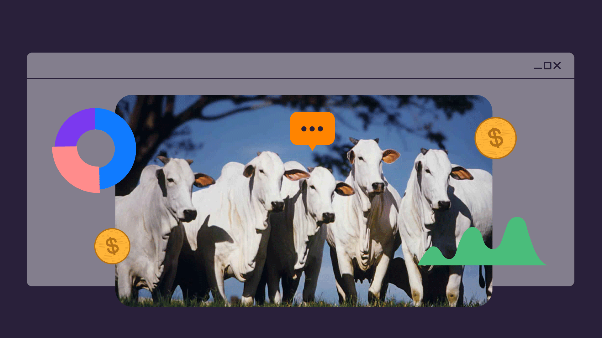 Como ter sucesso com os spreads durante a exportação de carne bovina